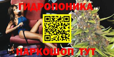 трава Лесосибирск