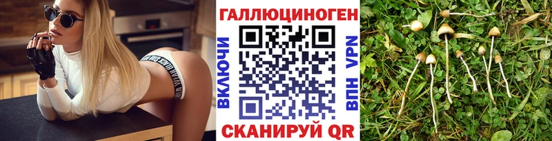 Галлюциногенные грибы ЛСД  Губкин 