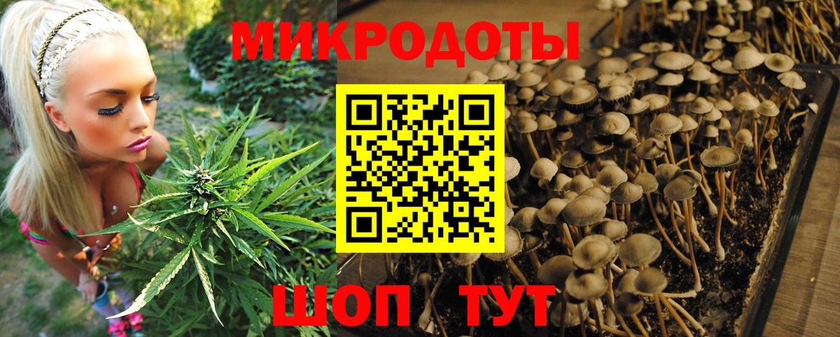 Псилоцибиновые грибы Psilocybine cubensis  Вход с VPN  Губкин 