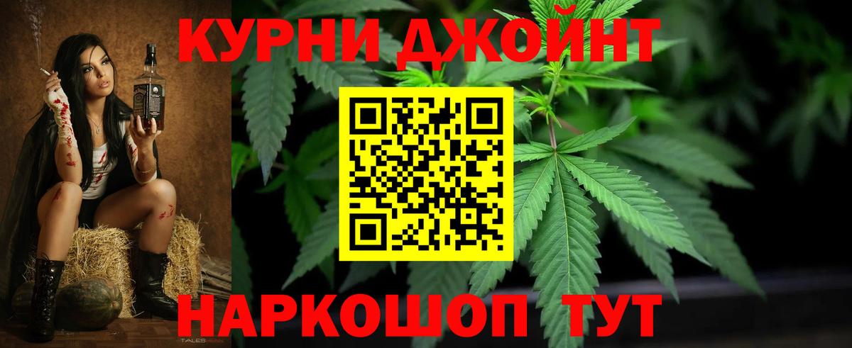 Конопля план  Каннабис сатива  Губкин  Марихуана SATIVA & INDICA  Вход с VPN 